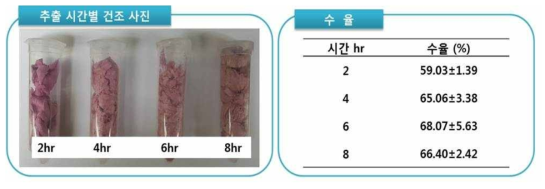 40℃에서 시간에 따른 천년초 열매 추출 건조물의 수율