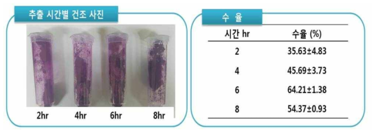 40℃에서 시간에 따른 백년초 열매 추출 건조물의 수율