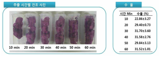 초음파 추출 시간에 따른 백년초 열매 추출 건조물의 수율