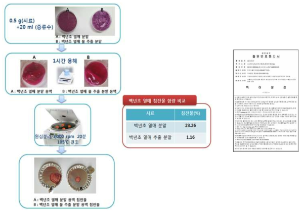 색도 안정 및 가용성이 증진된 백년초 열매 분말의 제조공정