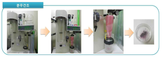 분무 건조방법에 의한 손바닥 선인장 건조 결과