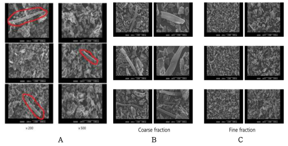 시판 백년초 줄기분말(A)과 공기분급 6,000 rpm 조건에 따른 Coarse(B) 및 Fine(C) 분획의 미세 구조