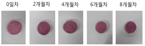 천년초 열매 추출물의 시간에 따른 색도 비교