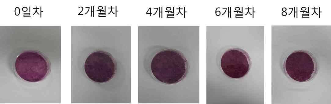 백년초 열매 추출물의 시간에 따른 색도 비교