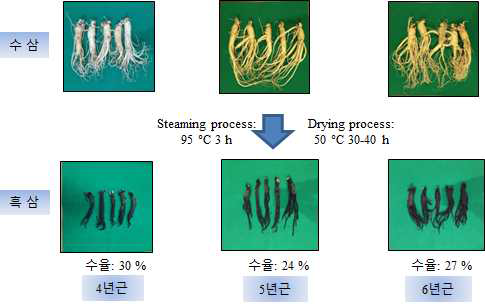 원료삼의 년근별 흑삼 제조