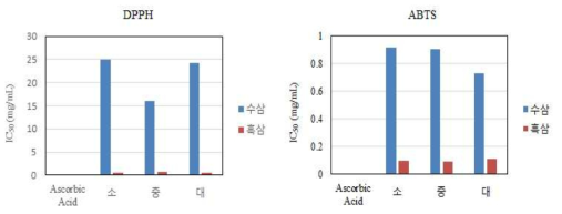 크기별 실험의 항산화 활성