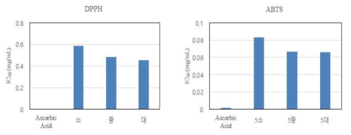 원료삼의 크기별 흑삼의 항산화 활성(2차)