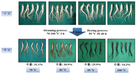 원료삼(5년근대)의 증자 온도별 흑삼제조