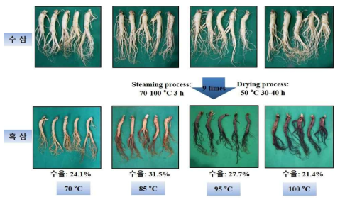 원료삼(5년근특대)의 증자 온도별 흑삼제조