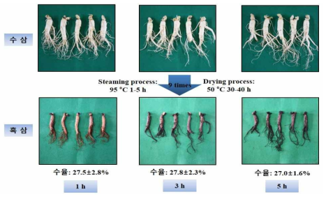 원료삼(5년근대)의 증자 시간별 흑삼제조