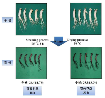 원료삼(5년근중)의 건조방법별 흑삼제조