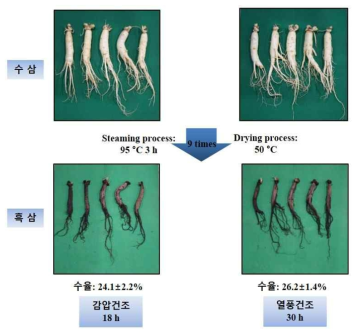 원료삼(5년근대)의 건조방법별 흑삼제조