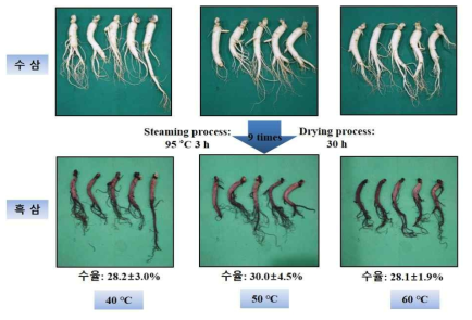 원료삼(5년근중)의 건조온도별 흑삼제조