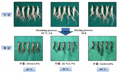 원료삼(5년근대)의 건조온도별 흑삼제조