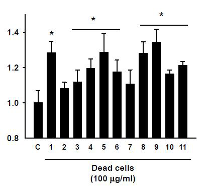 The effect of dead cells on glycerol release in 3T3-L1 adipocytes