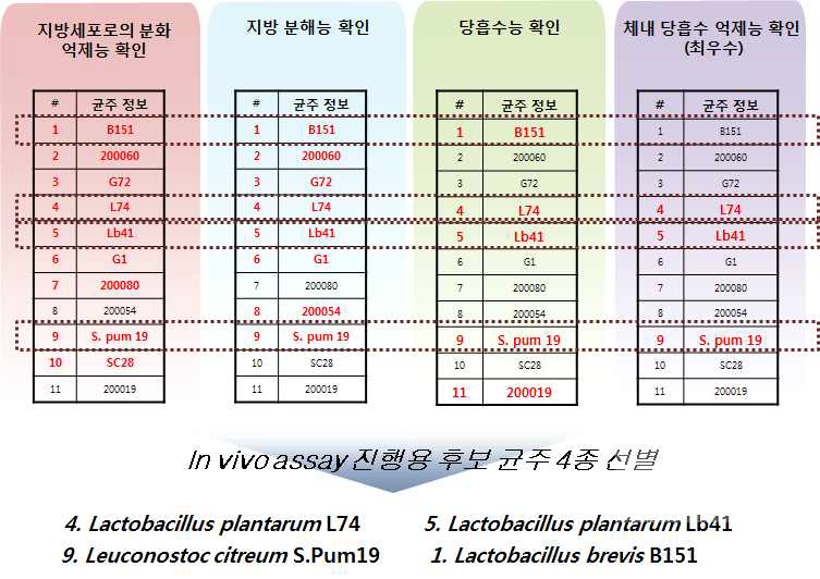 Summary of strains showing anti-obesity and anti-diabetic effect in vitro assay.