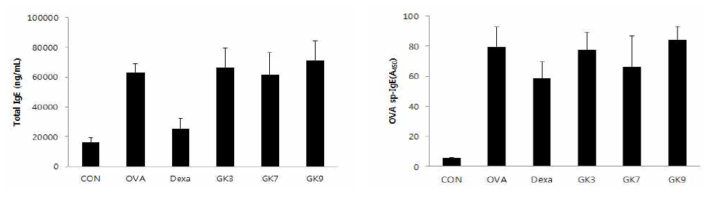 GK3(Lactobacillus plantarum G72), GK7(Lactobacillus brevis KCCM 200080), GK9(Leuconostoc citreum S.Pum 19) 균주 경 구투여에 따른 Total IgE 및 OVA 특이 IgE 생성능.