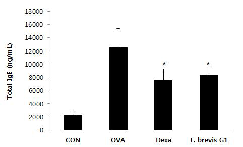 Lactobacillus brevis G1 균주 경구투여에 따른 식품 알레르기 증상 완화 효과.