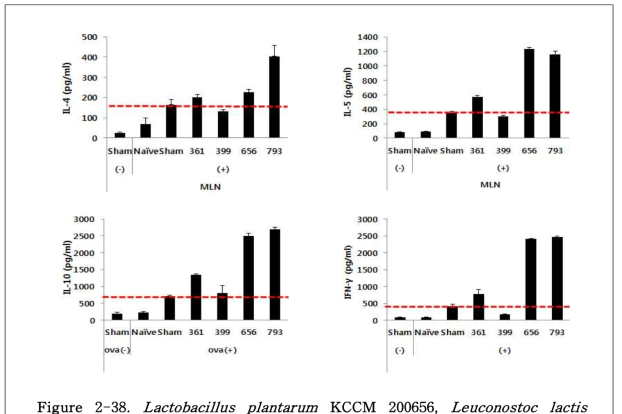 Lactobacillus plantarum KCCM 200656, Leuconostoc lactis