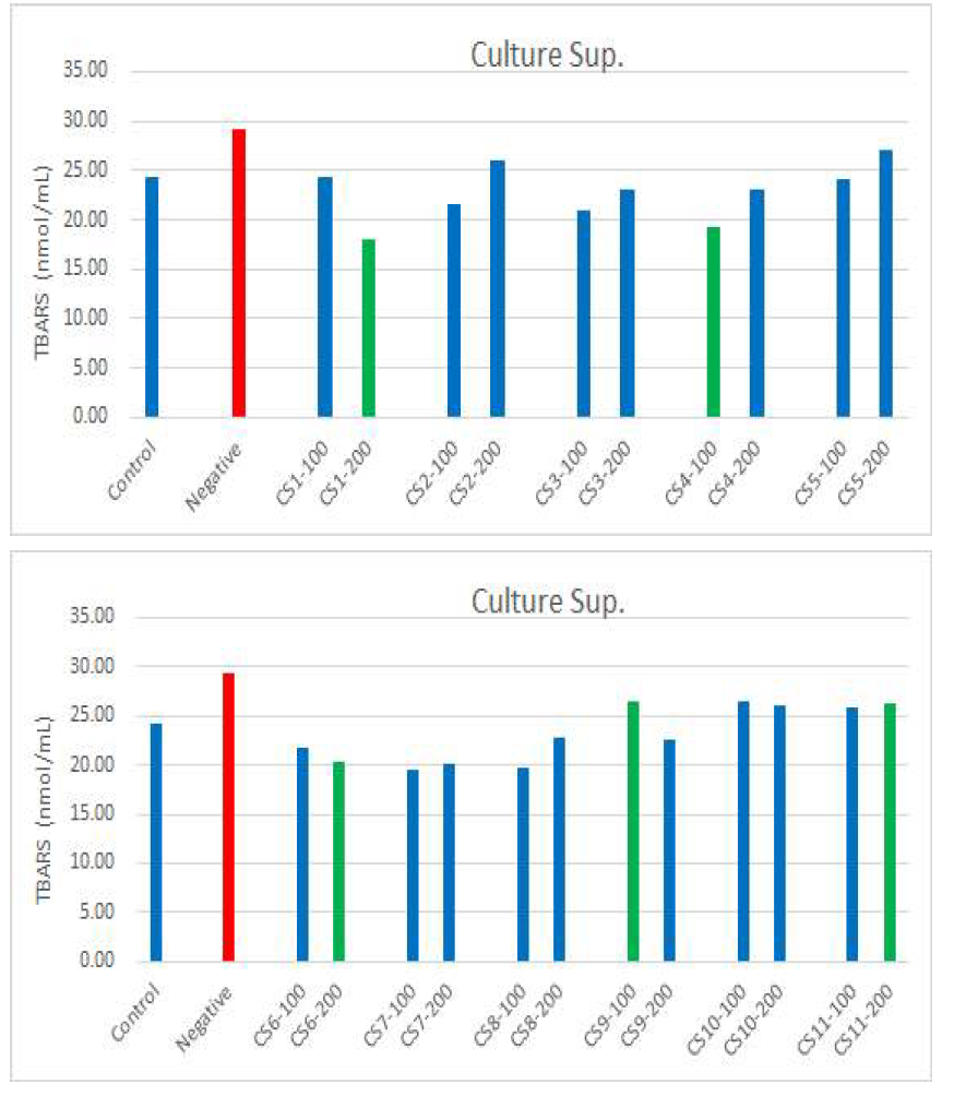 주관기관 제공 11종(생균)에 대한 HepG2 세포에서의 TBA RS(MDA) 함량측정 결과(in vitro ) Control: HepG2 cells, Negative: HepG2 cells+EtOH, CS1-100: HepG2 cells+Et OH+culture supernatant No.1 100 μg.