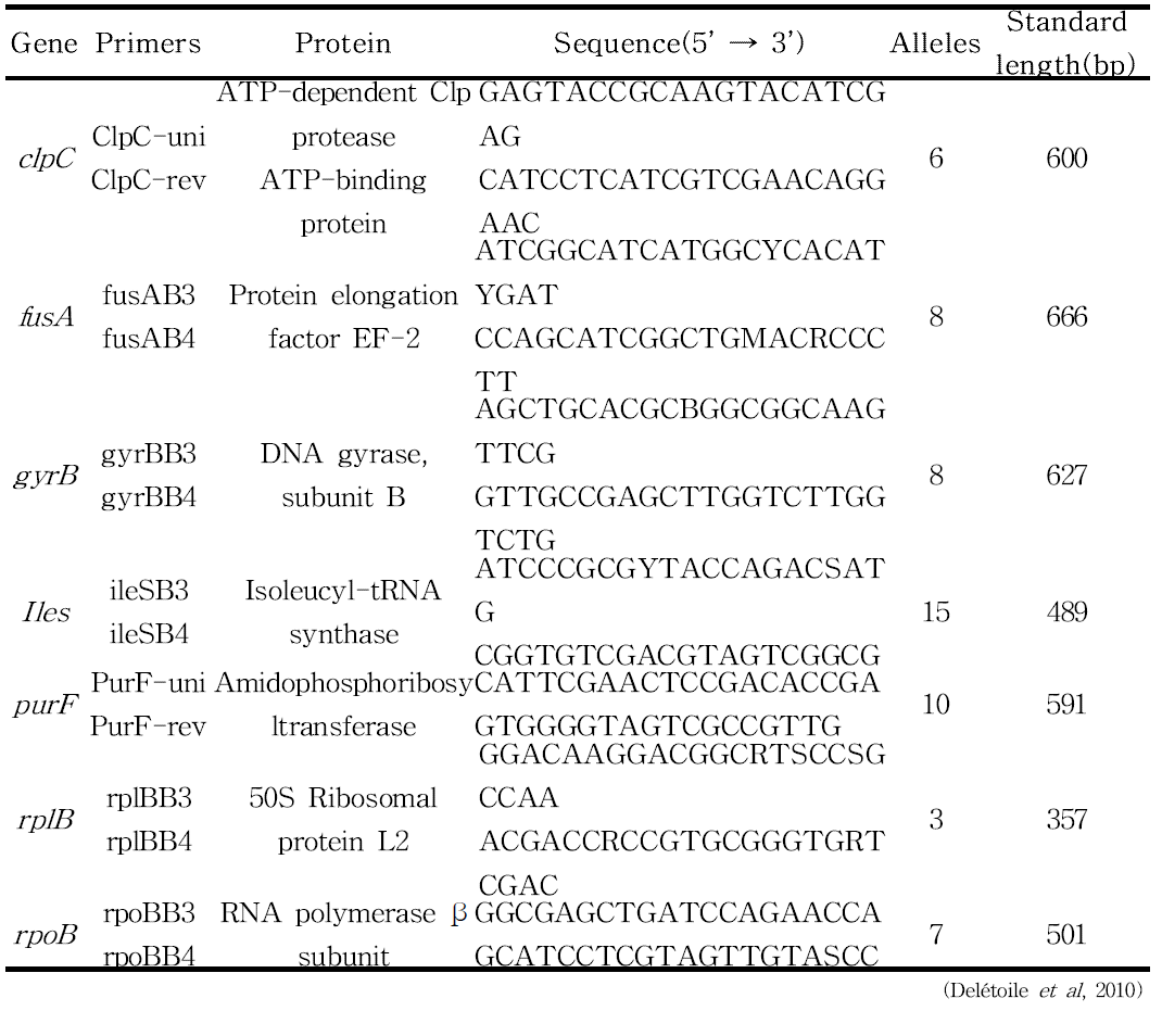 MLST primers for Bifidobacterium breve