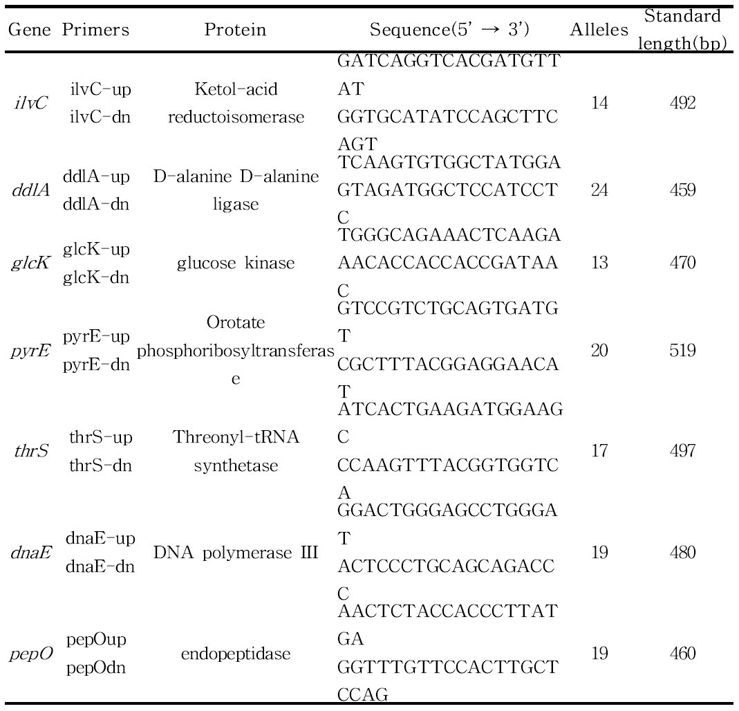 Another MLST primers for Streptococcus salivarius