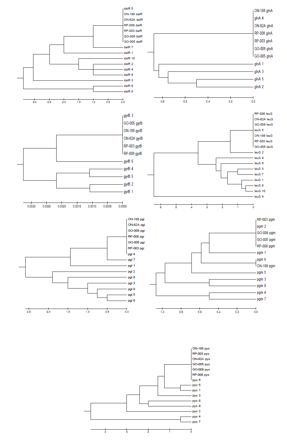 UPGMA dendrograms for 6 P . pentosaceus isolates sequenced for MLST.