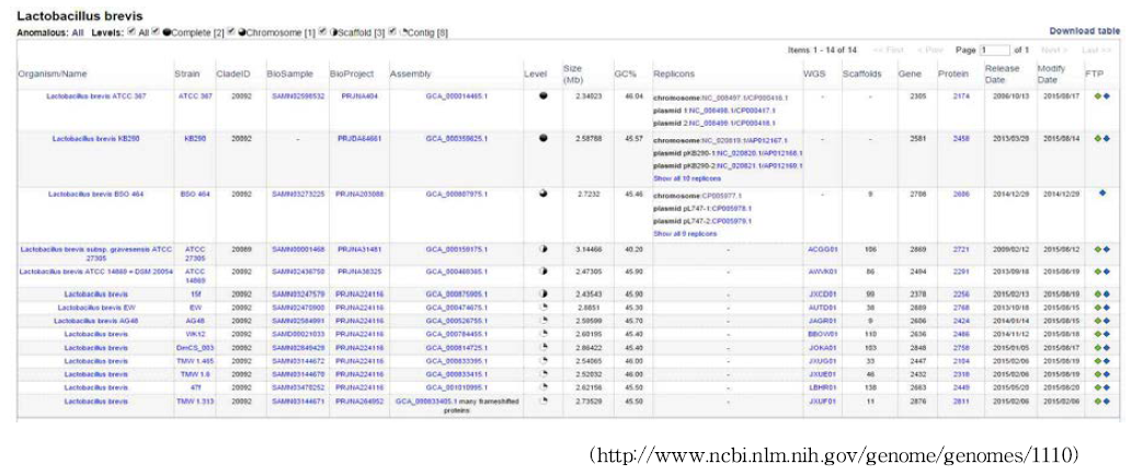 Genome assembly and annotation report for Lactobacillus brevis