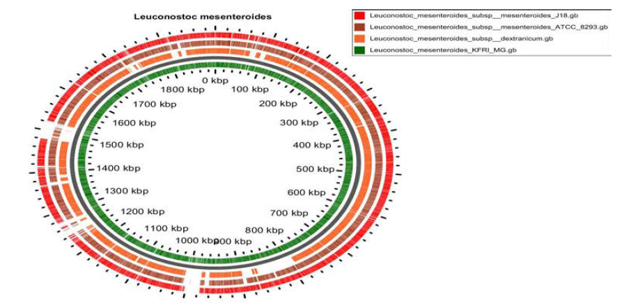 Genome analysis of Leu. mesenteroides strains.