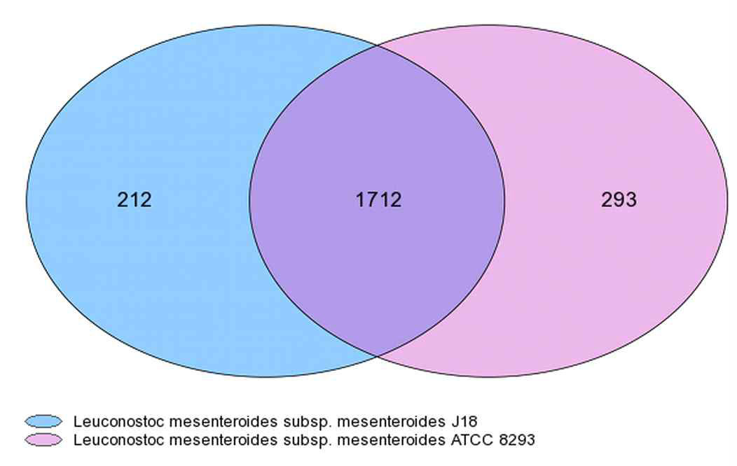 Venn diagram of Leu. mesenteroides genome.