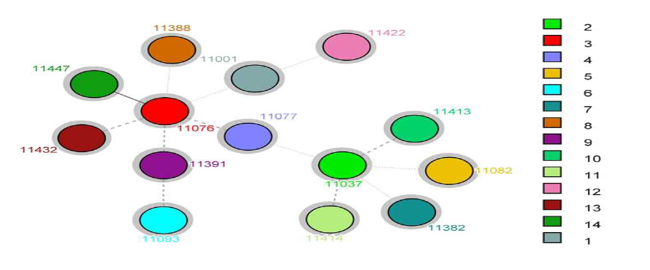 Minimum-spanning tree analysis of the 14 Leu. citreum strains.