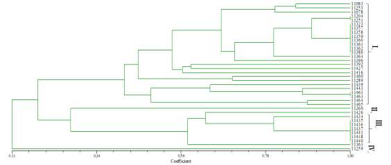 UPGMA dendrogram of 37 Leu. mesenteroides isolates based on REP marker by NTSYS software