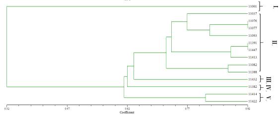 (GTG) -PCR profiling of 14 strains of Leu. citreum.