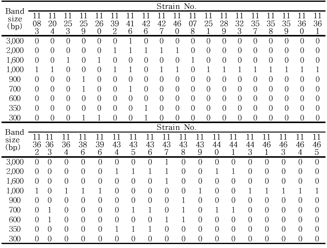 Digital data of Leu. mesenteroides in the form of binary number(1,0) for the RAPD fingerprint using 239 primer