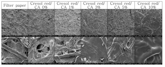 Cellulose acetate 함량에 따른 인디케이터의 SEM 측정 결과