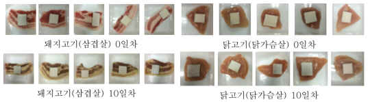 저장기간에 따른 삼중구조의 인디케이터의 색 변화