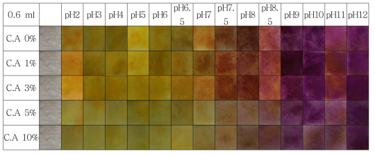 pH변화에 따른 3중구조 인디케이터의 색 변화(사진) - 지표물질 0.6ml