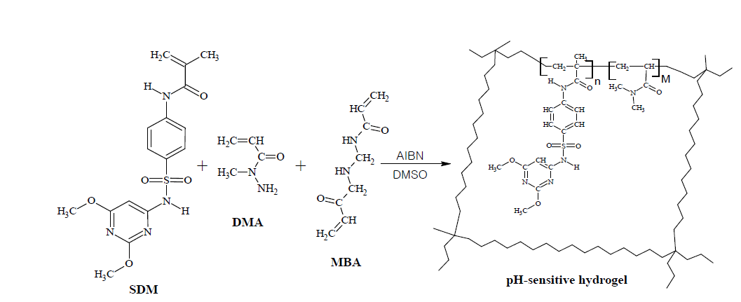 pH 민감성 하이드로겔 제조