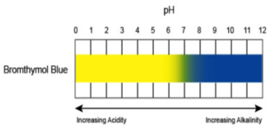 BTB(Bromothymol Blue) pH에 따른 색변화