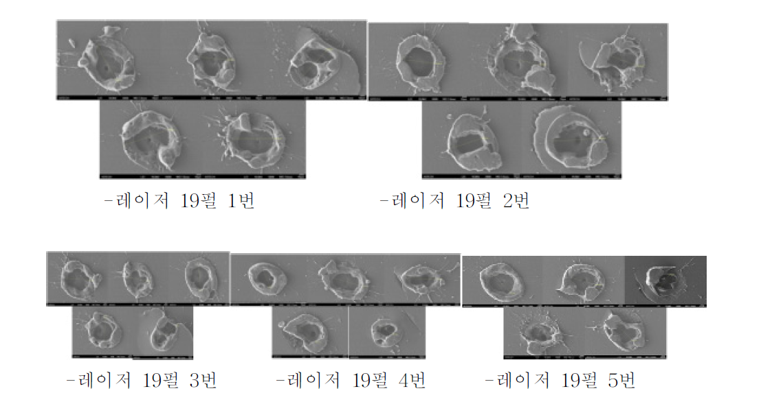 레이저 19펄스 레이저 홀 형상 사진 / SEM 측정 /생기원