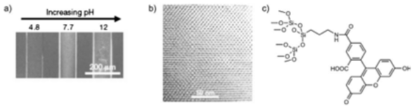 (a) pH 증가에 따른 Pore-channel의 형광변화 사진과 (b) cross-sectional TEM 이미지와 (c) Mesoporous 물질의 carboxyfluorescein 분자구조의 표면개질