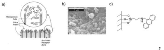 (a) aminoanthracene 분자구조의 표면개질 모식도, (b) SEM 이미지와 (c) 실리카 표면의 화학구조.