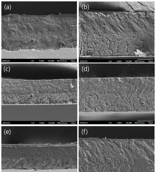 (a) B9/P0, (b) B9/P2, (c) B9/P4, (d) B/P6, (e) B9/P8, (f) B9/P10의 FE-SEM 사진