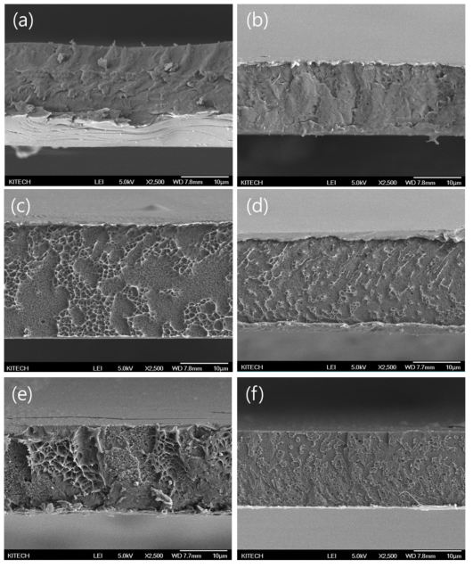 (a) C9/P0, (b) C9/P2, (c) C9/P4, (d) C9/P6, (e) C9/P8, (f) C9/P10의 FE-SEM 사진