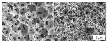 다공성 고분자 재료의 SEM 이미지