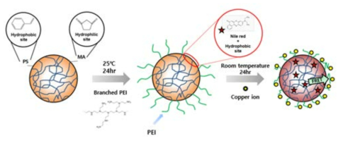 PSMA/PEI core-shell particle의 형성을 위한 모식도