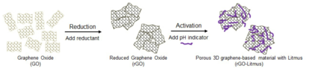 차원 다공성 GO 나노구조체의 제조 모식도