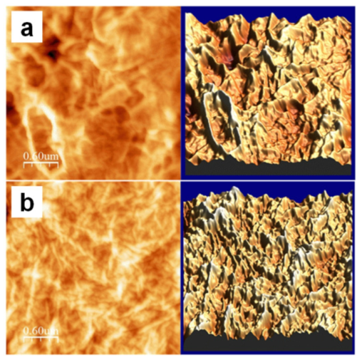 (a) Graphene oxide sheet와 (b) 선택적 환원을 통한 3차원 구조의 다공성 graphene oxdie 구조체의 AFM 이미지