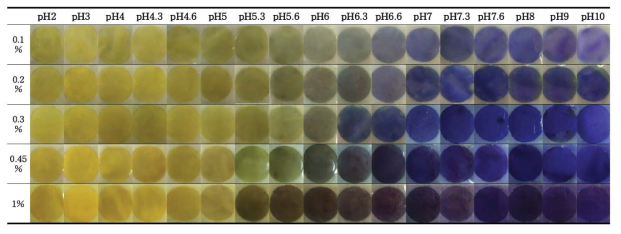 dye 함량에 따른 인디케이터의 pH별 색변화