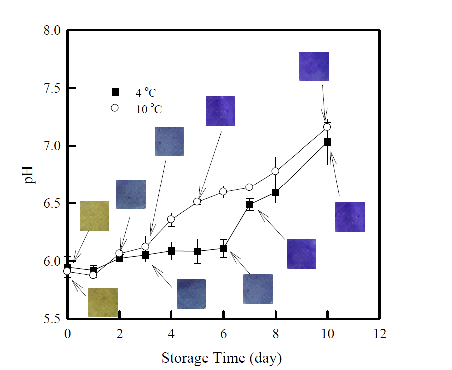 저장 온도별 닭가슴살 pH 변화에 따른 인디케이터의 색변화